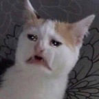 mypartner OnlyFans Leaked (49 Photos and 32 Videos) 

 profile picture