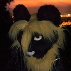 naughtynightcat (Pup Lyons) free OnlyFans Leaked Content 

 profile picture