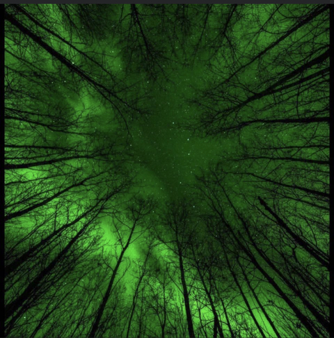 oceanmay2020 onlyfans leaked picture 1