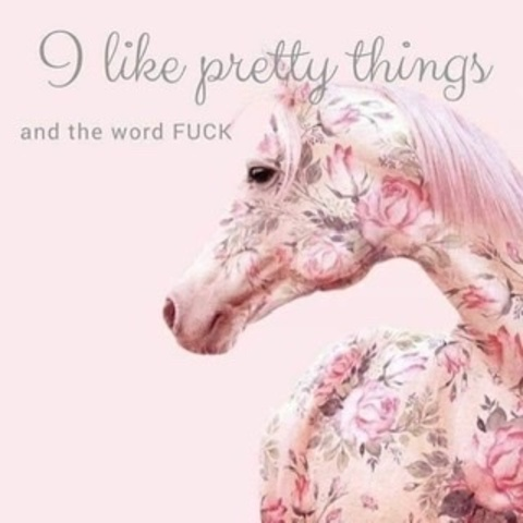 octo_princess23 onlyfans leaked picture 1