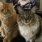 penney (JRpenn) free OnlyFans Leaked Pictures and Videos 

 profile picture