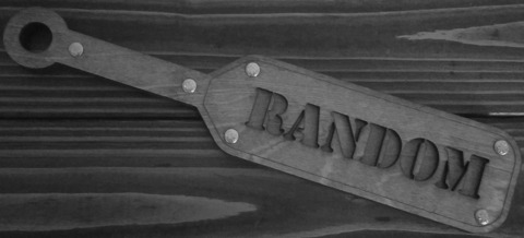 randombloggerdude onlyfans leaked picture 1