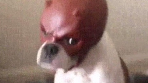 recklesslovee onlyfans leaked picture 1