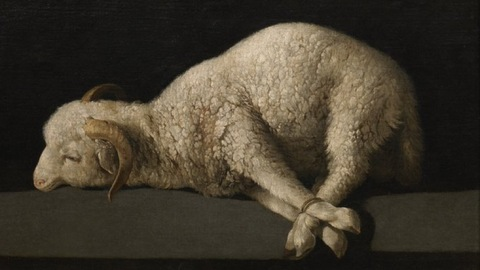 roman_bath_house OnlyFans Leaks (57 Photos and 32 Videos) - LeakedLovers