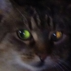 Hot @sadxsin leaked Onlyfans gallery free 

 profile picture