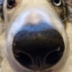 View second__breakfast (Jo Sinister) OnlyFans 49 Photos and 32 Videos for free 

 profile picture