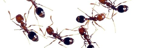 showercat onlyfans leaked picture 1