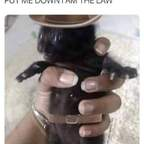 silver-9 OnlyFans Leak (83 Photos and 36 Videos) 

 profile picture