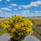 simplethings92 OnlyFans Leaks (49 Photos and 32 Videos) 

 profile picture