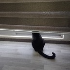 New @sony_bb leak Onlyfans content free 

 profile picture