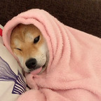 New @spcegrl leaked Onlyfans photos for free 

 profile picture