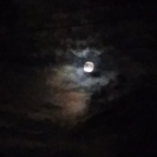 spicyfingers OnlyFans Leak 

 profile picture