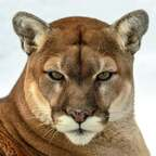 New @stevefrench92 leak Onlyfans content for free 

 profile picture