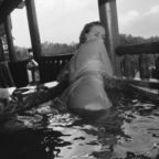 View sugarbaby.cvm (baby) OnlyFans 49 Photos and 32 Videos gallery 

 profile picture