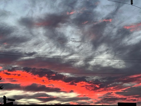 sugarlove360 onlyfans leaked picture 1