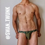 Download swan_twunk OnlyFans content for free 

 profile picture