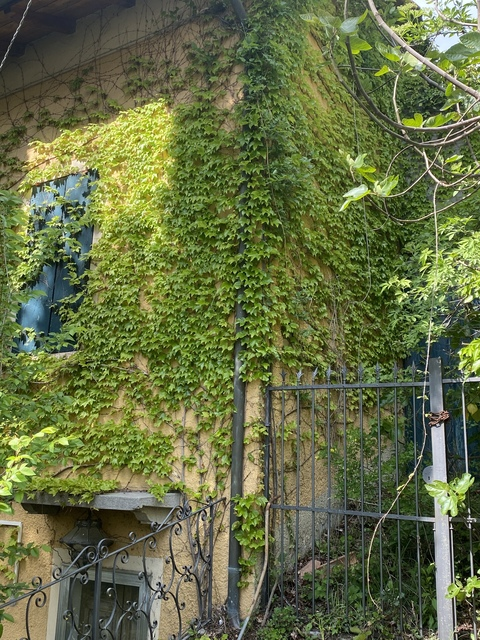 sweetcassie20 onlyfans leaked picture 1