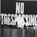 theoriginalbae OnlyFans Leak 

 profile picture