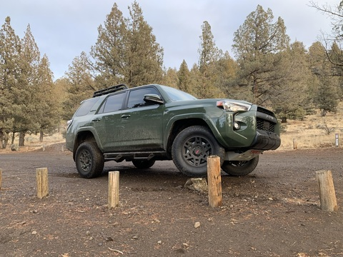 treesz onlyfans leaked picture 1