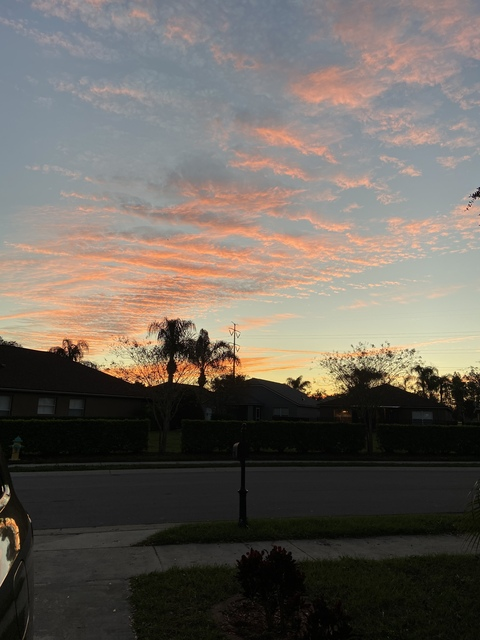 tristynnhane onlyfans leaked picture 1