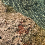 Onlyfans leaks trojanman223 

 profile picture