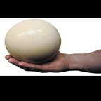 Onlyfans leaks u11661059 

 profile picture