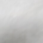 u15235051 (Nick) free OnlyFans Leaked Videos and Pictures 

 profile picture