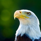 Download u153983466 OnlyFans content free 

 profile picture