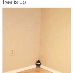 vanessasosweet (Vanessa) OnlyFans Leaked Pictures & Videos 

 profile picture