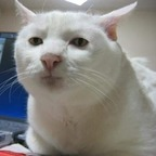 vvgfanabil OnlyFans Leaked Photos and Videos 

 profile picture