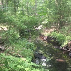 Onlyfans free wellhungblack123 

 profile picture