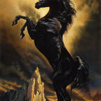 Onlyfans free content wildstxallion 

 profile picture