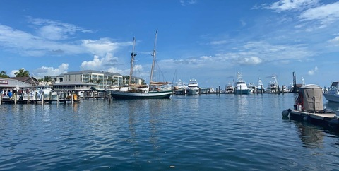 xoxoabby onlyfans leaked picture 1