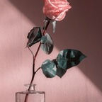 yourbestfantasybaby OnlyFans Leaks (49 Photos and 32 Videos) 

 profile picture