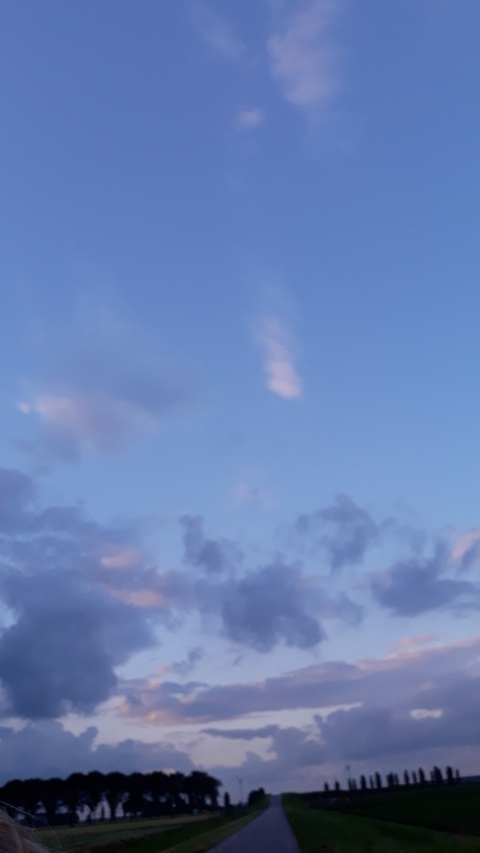 zelex onlyfans leaked picture 1