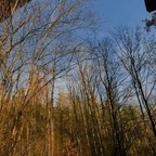 znarf onlyfans leaked picture 1